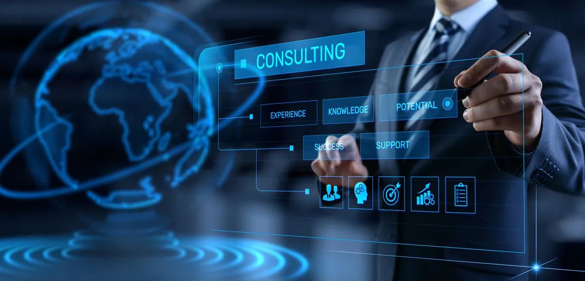 Capability Consulting — Synaara Consulting